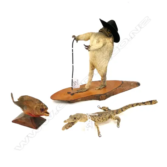 TAXIDERMY TOAD/PIRANHA+BABY ALLIGATOR