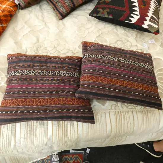 2 IRANIAN H/WOVEN JAJIM CUSHIONS