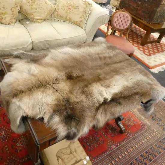 REINDEER HIDE L. 1400MM