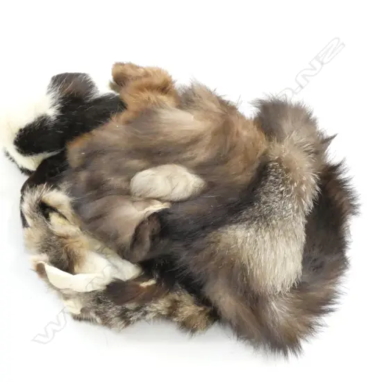 COLLECTION OF FURS / SKINS