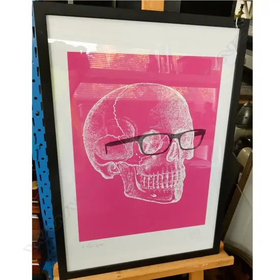 SKULL ON PINK . X RAY SPECS - PENCIL AND HAMMER EDITION , FRAMED