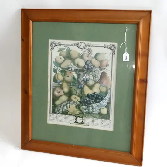 A GOOD ANTIQUE ENGRAVING OF THE ORIGINAL ROBERT FURBER 12 MONTHS OF FRUIT (NOVEMBER) 655MM