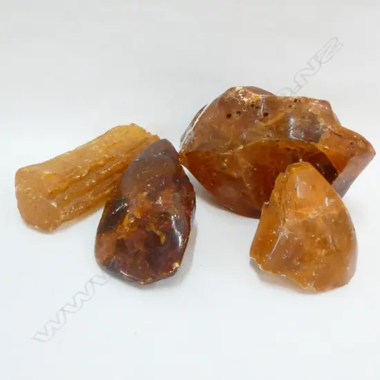 ASST PCES SEMI POLISHED KAURI GUM