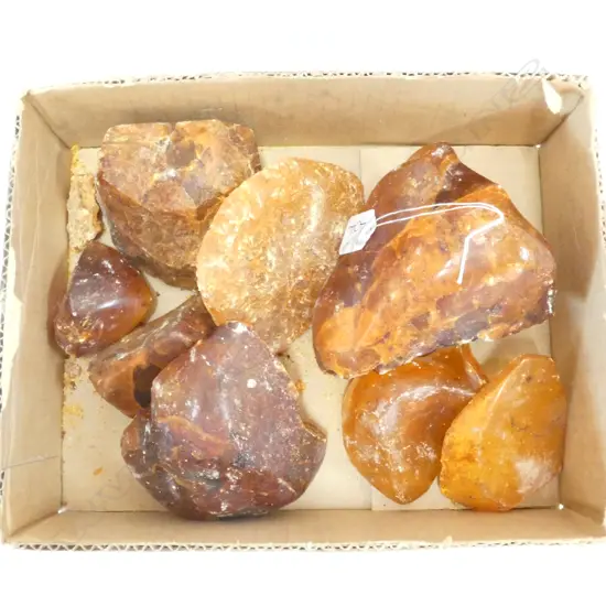 ASST PCES SEMI POLISHED KAURI GUM