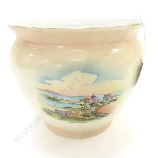 SHELLEY JARDINERE 'OHINEMUTU ROTORUA NZ' H. 140MM