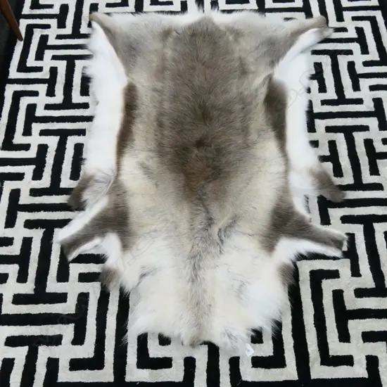 REINDEER HIDE FROM DENMARK L1570 MM