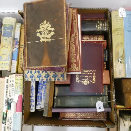 BOX OF ANTIQUE AND VINTAGE BOOKS Includes Pepys Diary, Thomas Hardy etc.