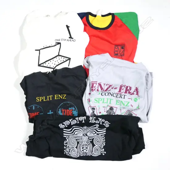 5 ASST SPLIT ENZ TEE SHIRTS TRUE COLOURS ETC VARIOUS SIZES