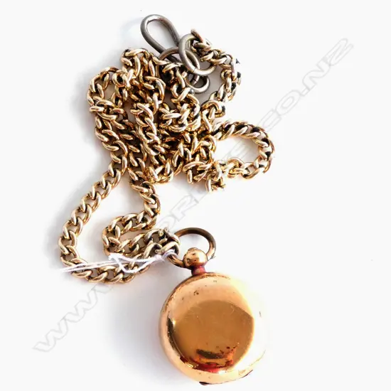 GOLD PLATED SOVEREIGN CASE THE CATCH REQUIRING ATTENTION