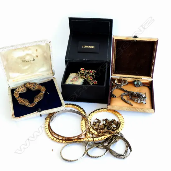 ASST. COSTUME JEWELLERY NECKLACES CAMEO BRACELET...