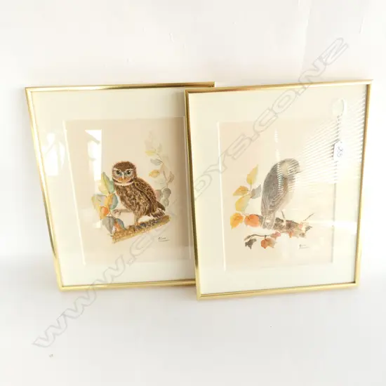 PR WATERCOLOURS OF MOREPORK AND SOUTH ISLAND ROBIN by GLEN ANDERSON