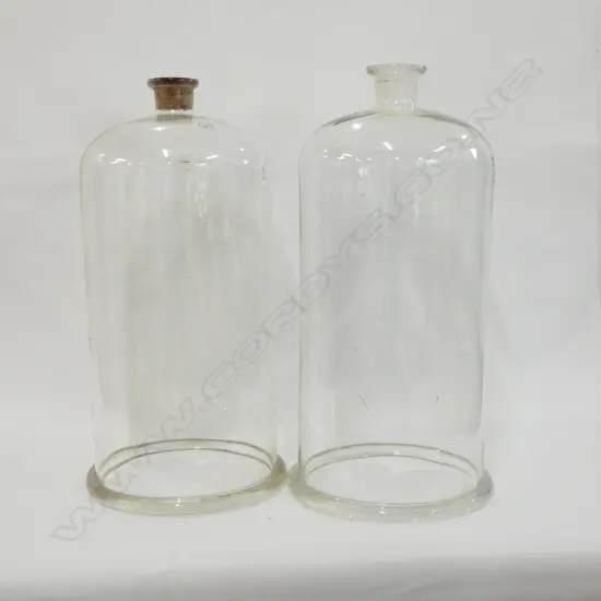 PR CZECHOLSLOVAKIAN GLASS DOMES H. 550MM