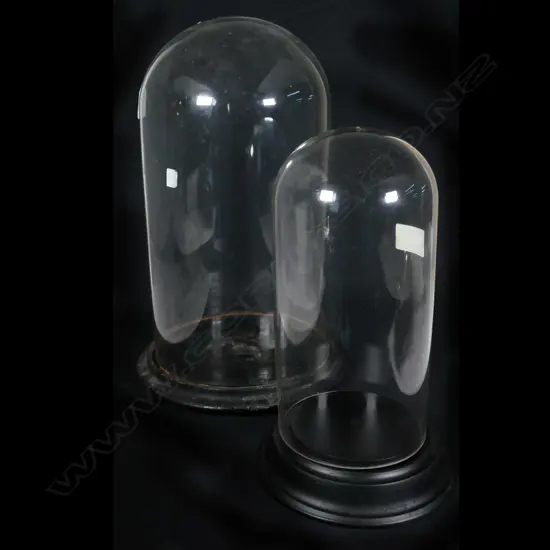 TWO GLASS DOMES ON STANDS (12" & 15"), H. 310 & 400mm