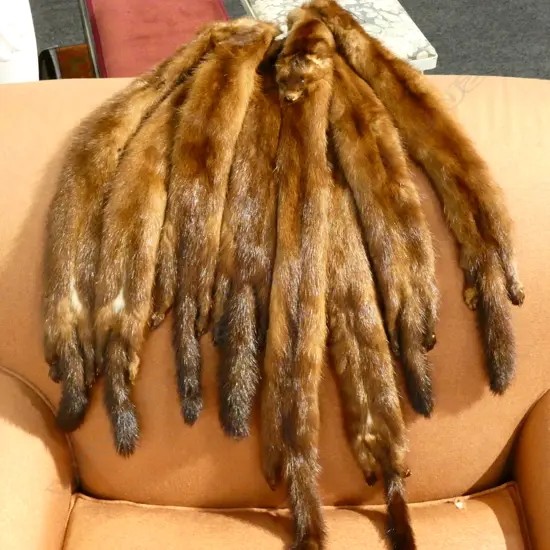 COLLECTION OF BROWN MINK
