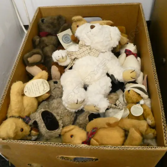 BOX LOT ASST. TEDDIES