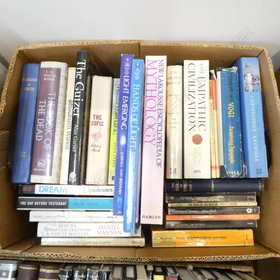 BOX LOT BOOKS PHILOSOPHY INTEREST