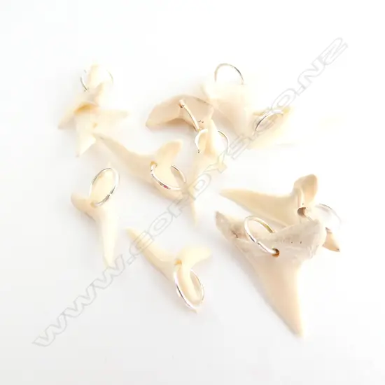 11 SHARK TEETH