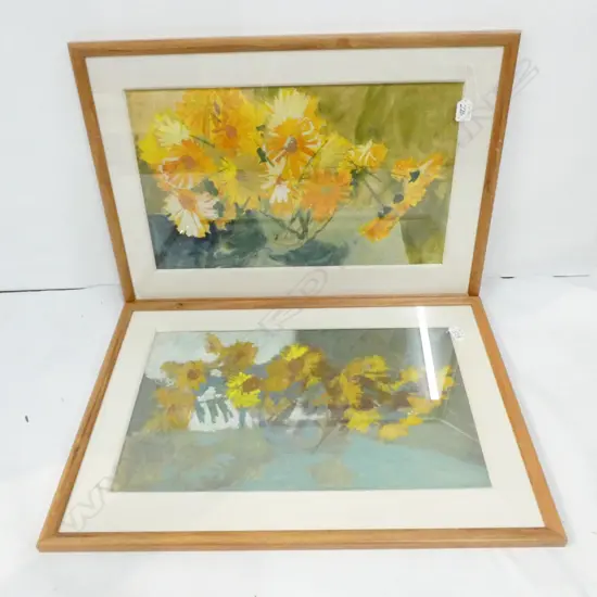 2 UNSIGNED, FLOWER STUDIES, PAINTINGS. 330 x 520mm EACH