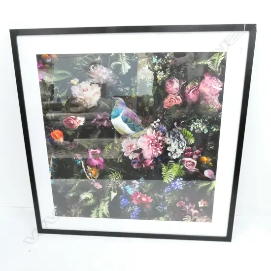 FRAMED PRINT OF A  KERERU 800 MM SQ SOME DAMAGE TO FRAME