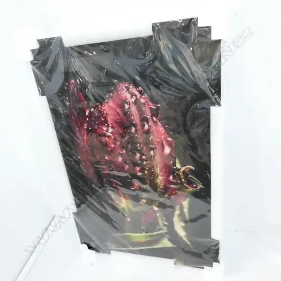 ART GLASS PRINT ON GLASS 1200 X 790 MM