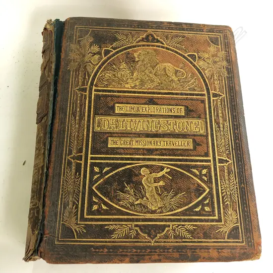 THE LIFE & EXPLORATIONS OF DR. LIVINGSTONE C. 1880 