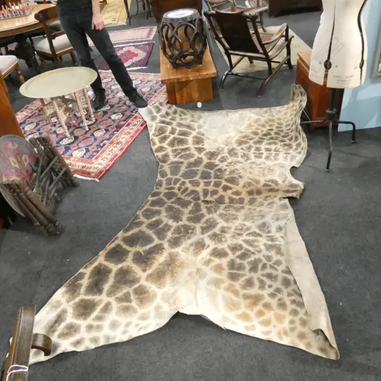 PART GIRAFFE HIDE, W.2160mm