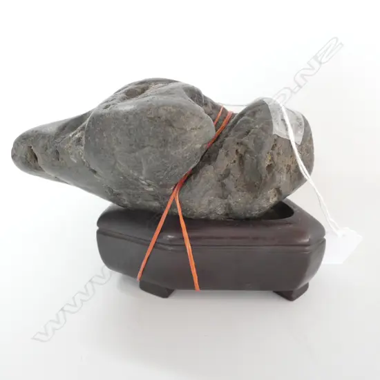 SMALL SCHOLARS ROCK ON STAND