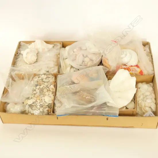 PACIFIC SHELL COLLECTION