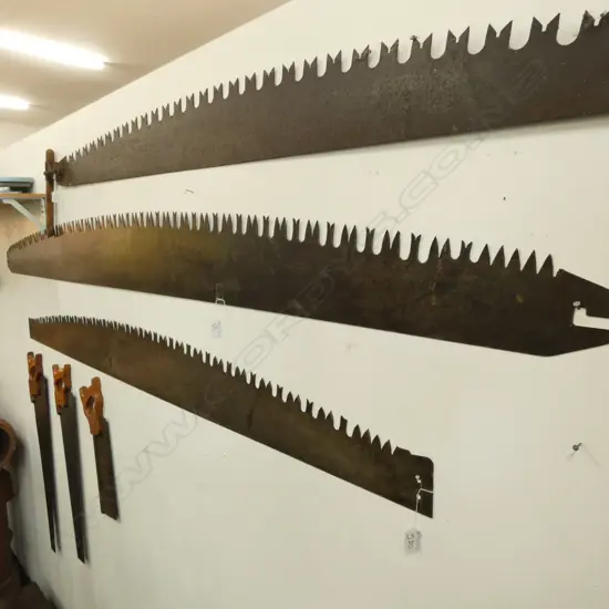 2 MAN CROSSCUT SAW BLADE L. 2260MM