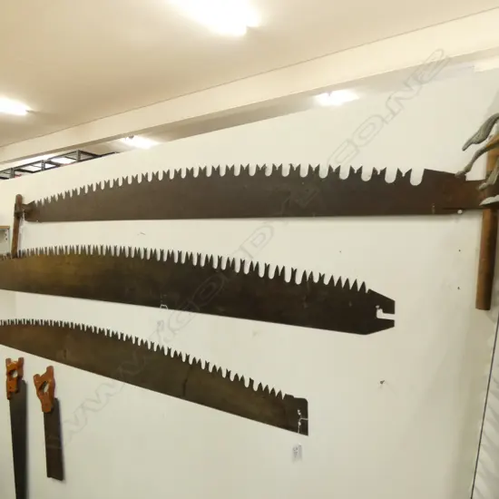 6FT OLD M-TOOTH 2 MAN SAW