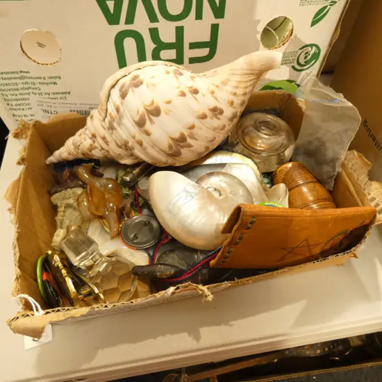 BOX LOT ASST. SHELLS, NZ POLITICAL BADGES, ORIENETAL PCES ETC