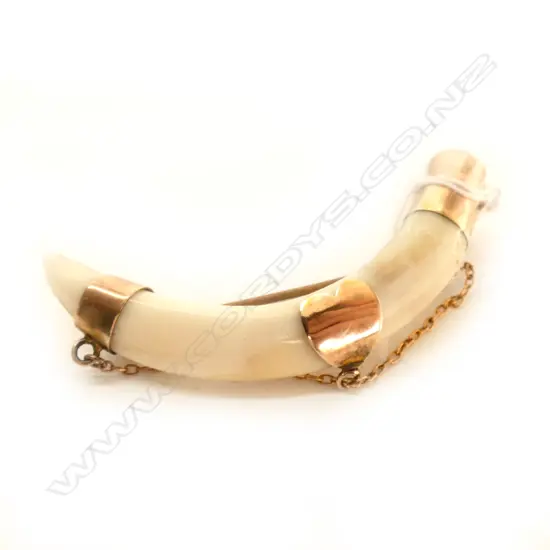TOOTH & 9CT BROOCH NZ COLONIAL