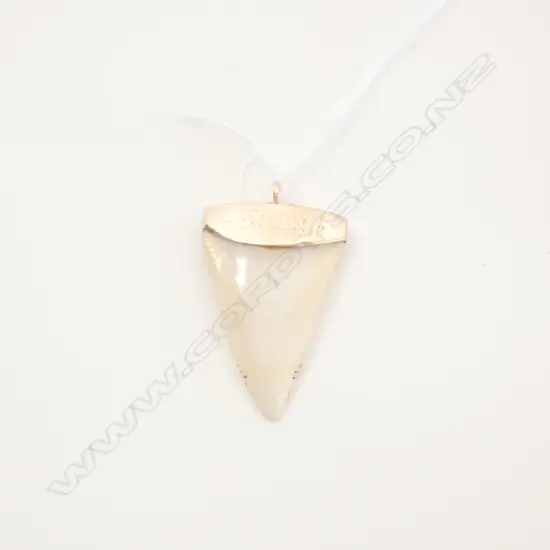 early 20THC 9CT SHARKS TOOTH PENDANT