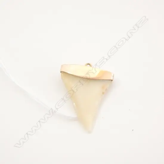 OLD 9CT SHARK TOOTH PENDANT