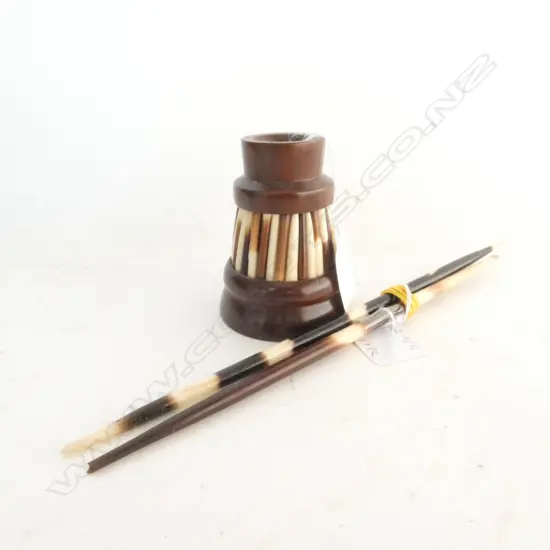 COLLECTION PORCUPINE QUILLS