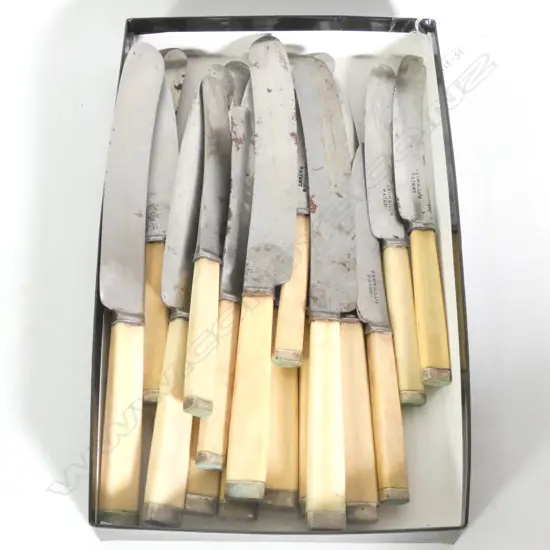 BOX EARLY 20TH CENTURY STEEL BLADED KNIVES