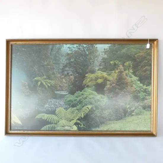 LARGE FORMAT WHITES HAND COLOURED PHOTGRAPH 'NEW ZEALAND BUSH'