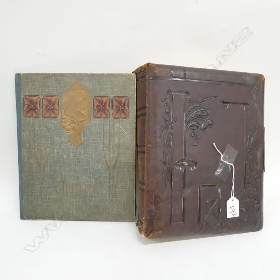 DUNEDIN PHOTO ALBUM C. 1860 AF + POSTCARD ALBUM