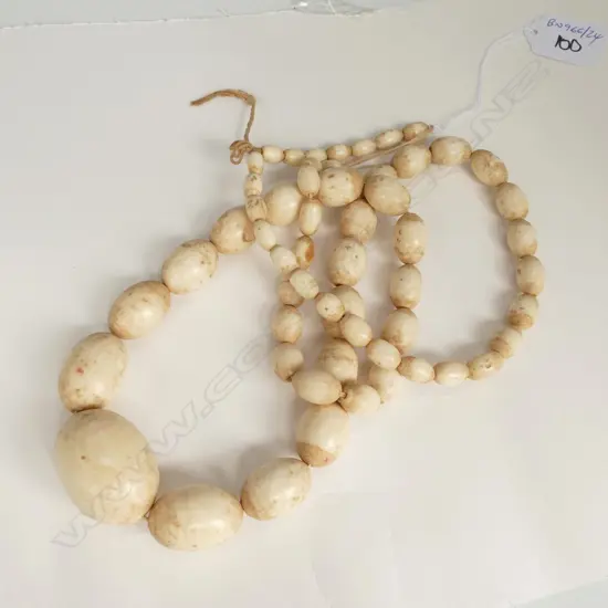 VINTAGE STRING OF IVORY ?? BEADS