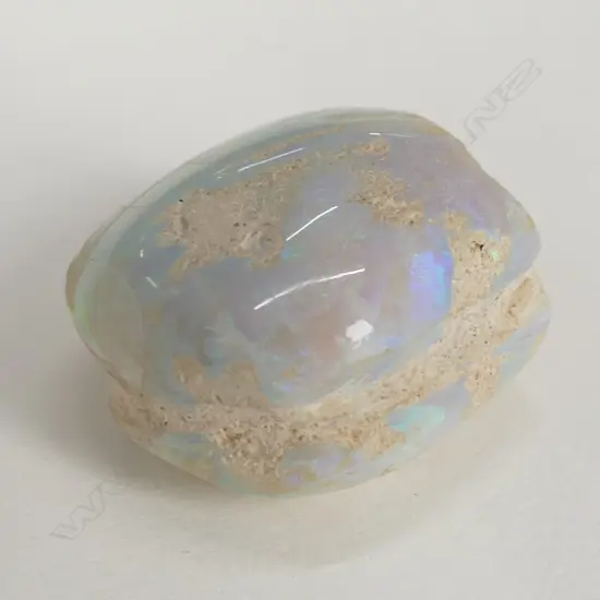 FOSSILISED SHELL WITH OPAL PIECES THROUGHOUT