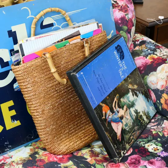 BASKET OF RECORDS + ONE OTHER RECORD