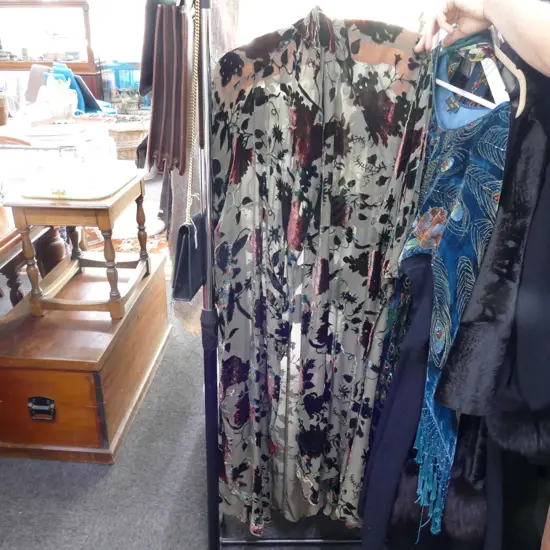 ART NOUVEAU STYLE VELVET COAT