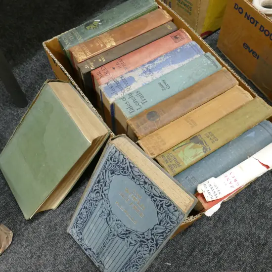 BOX LOT ZANE GREY/HG WELLS/JULES VERNE 13 BOOKS