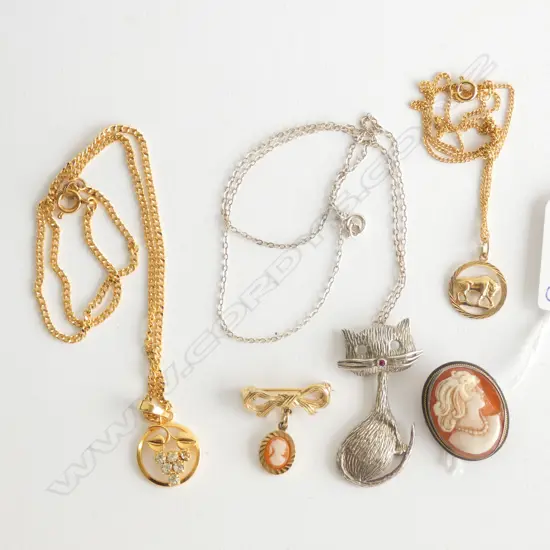 ASSORTED JEWELLERY; 2 CAMEO BROOCHES, 3 PENDANTS ON CHAINS INCL ONE CAT
