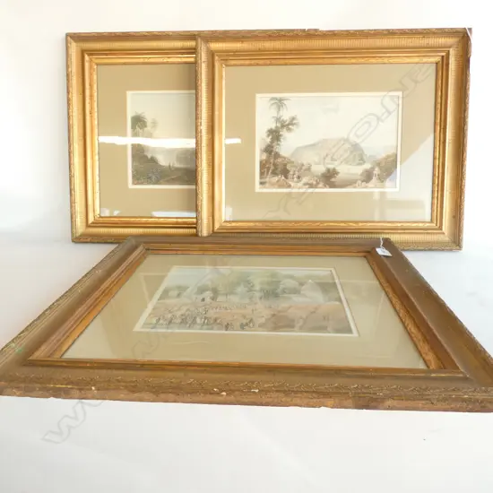 3 GILT FRAME PRINTS 440X 550MM FRAME SIZE 
