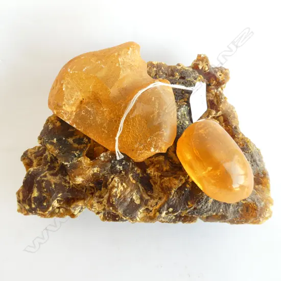 3 PIECES OF KAURI GUM (2 POLISHED, 1 AS FOUND w UNUSUAL TREE ROOT HOLES)