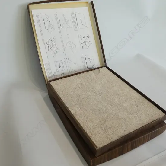 2 FISH FOSSILS IN STONE BOXED 'THE STONE FISH' 