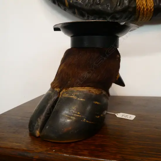 TAXIDERMY HOOF ASHTRAY H165MM