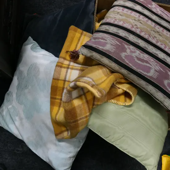 BOX LOT ASST. CUSHIONS 