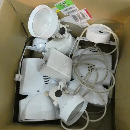 BOX LOT ASST. LIGHTS 